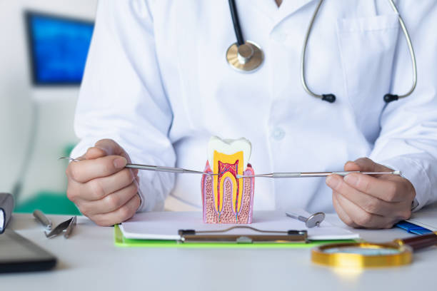 Best Emergency Broken Tooth Repair in Langhorne, PA